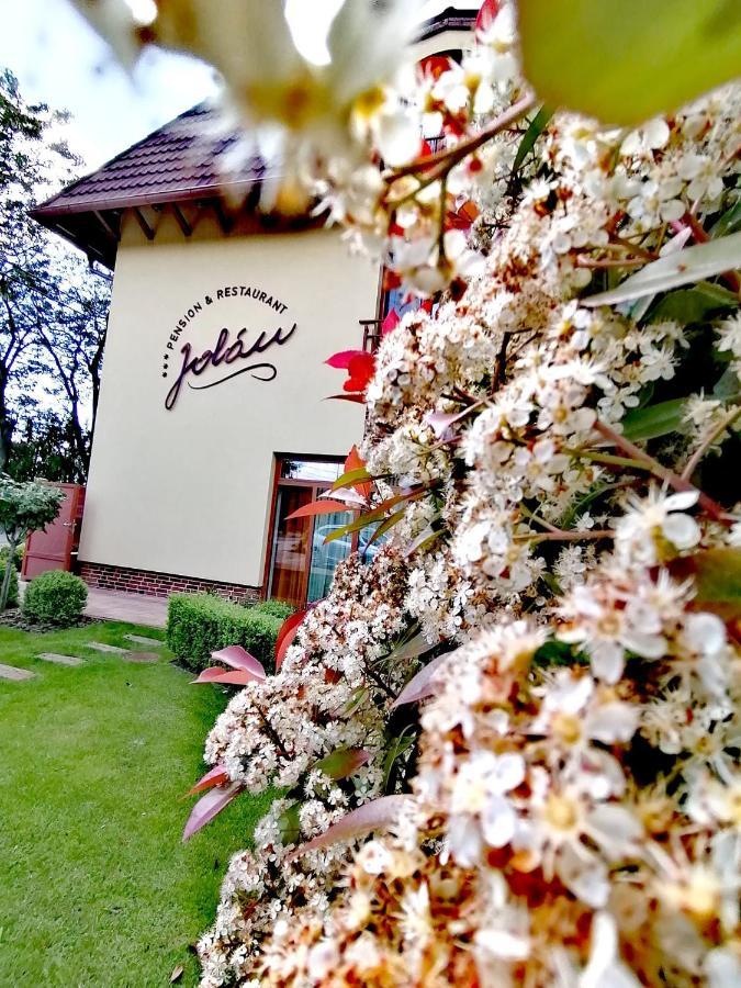Jolan Pension & Restaurant Cicov Buitenkant foto