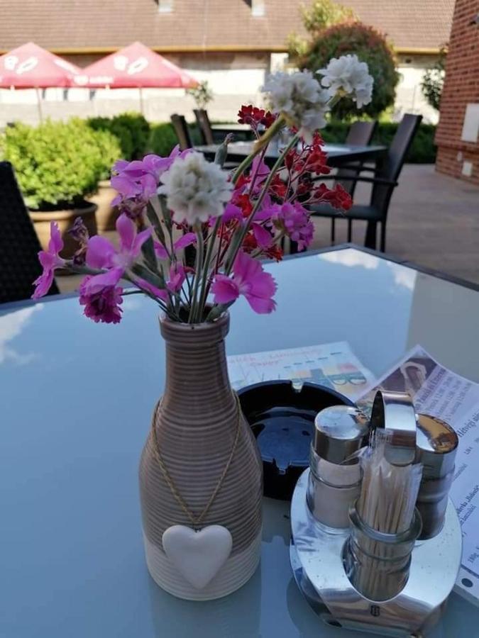 Jolan Pension & Restaurant Cicov Buitenkant foto