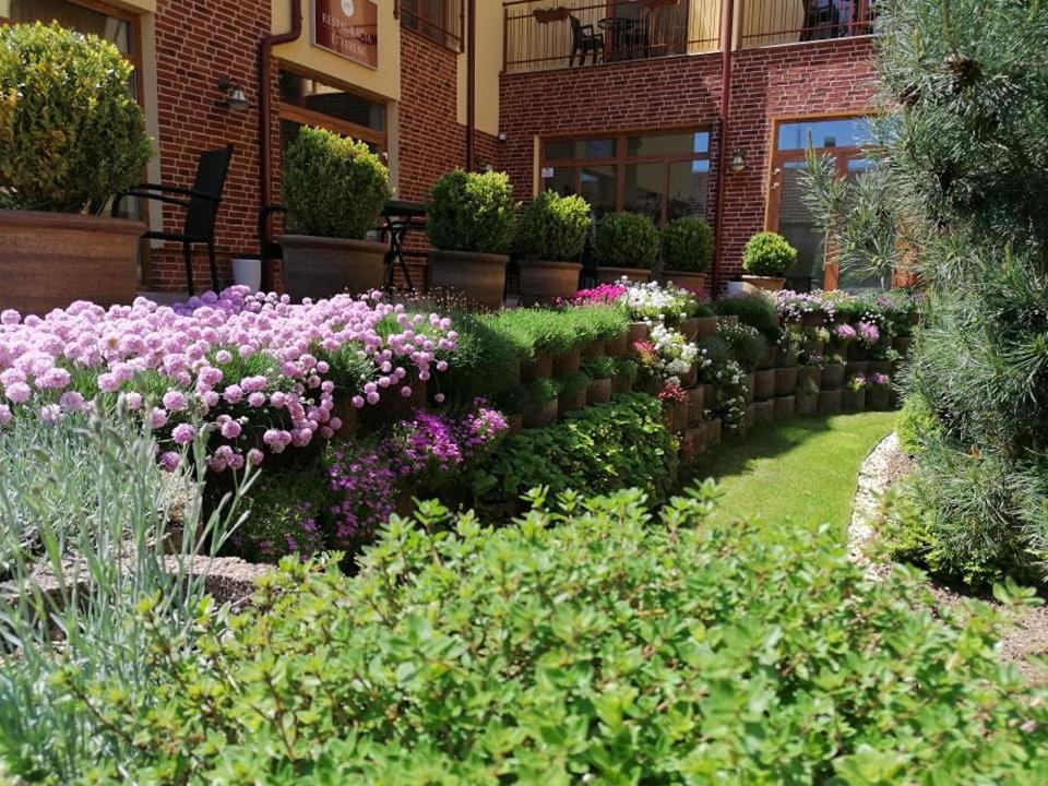 Jolan Pension & Restaurant Cicov Buitenkant foto